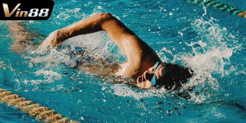 Giấc mơ phản ánh cuộc sống thực tại
